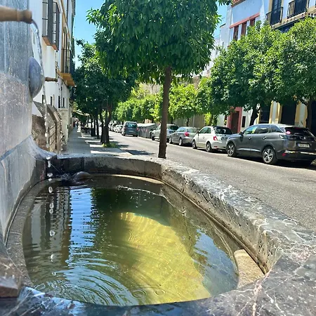 San Fernando 27 Atico קורדובה